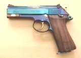 Erwerbscheinpflichtige Pistole